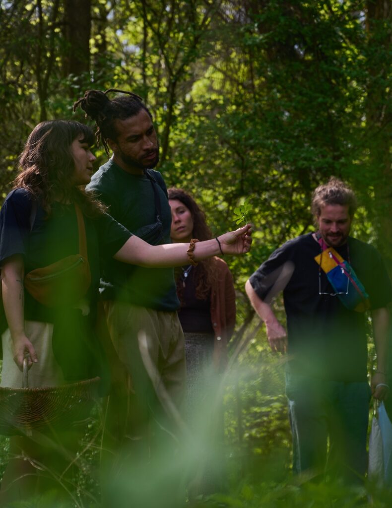 Menschengruppe steht im Wald und sammeln sich um eine Pflanze die jemand in der Hands hält.