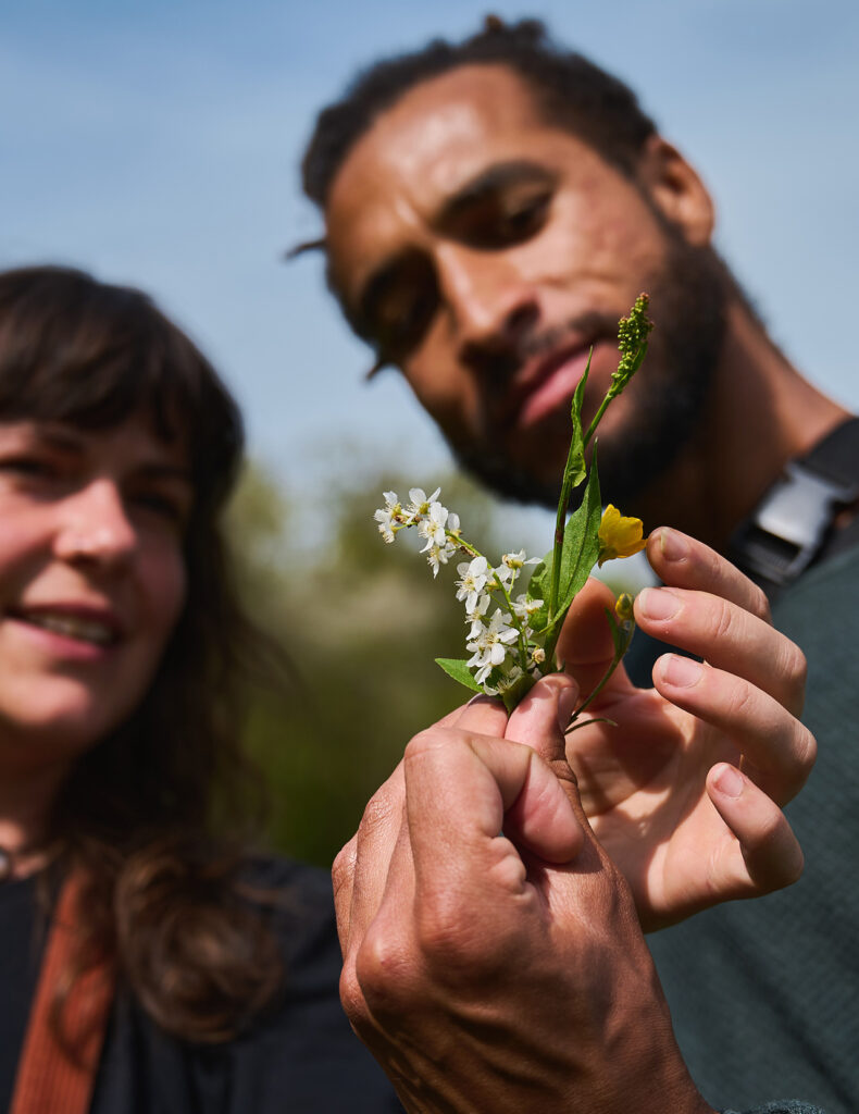 Zwei Menschen untersuchen gespannt eine Pflanze.